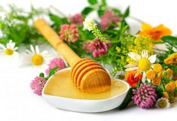 Pour quelle température peut chauffer le miel: trucs et astuces. Est-il possible de chauffer le miel et s'il perd des propriétés utiles