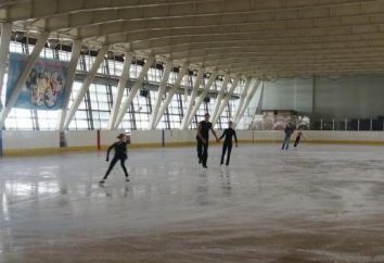 pistas de patinaje sobre hielo bajo techo en San Petersburgo: lista de direcciones, descripciones