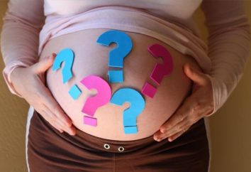 Prześledzić rozwój dziecka przez kalendarza tydzień ciąży jest szczegółowa pomoc