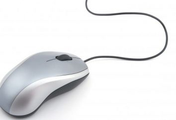 Cicha mysz do komputera: Recenzje najlepszy model