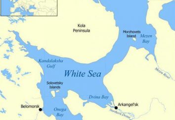 Onde está a Kandalaksha Bay? Descrição, características, fotos