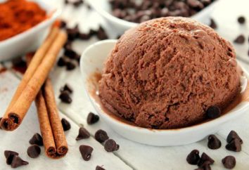 Schokoladen-Eis: ein Rezept und Foto