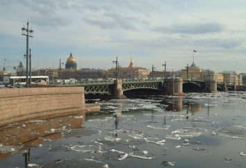 Palace Bridge a San Pietroburgo. Quanto diluito Palace Bridge?