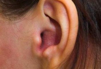 Jak leczyć grzyba w uszach?