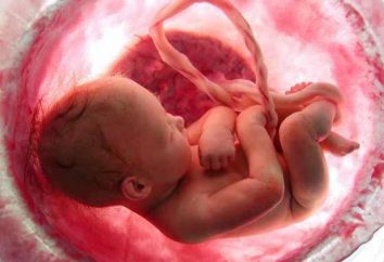 Prenatale e sviluppo post-natale del bambino