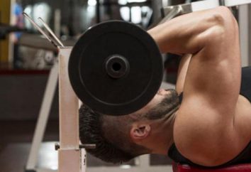 Le volume des hommes biceps: le taux de recommandations visant à accroître et