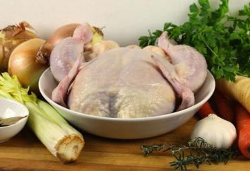 Caldo de pollo con fideos: recetas