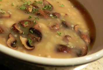 Jak gotować grzybni (zupa grzybowa)?