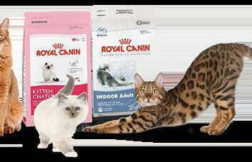 Karma lecznicza dla kotów, kociąt i kotów: przegląd typów, producentów i opinie