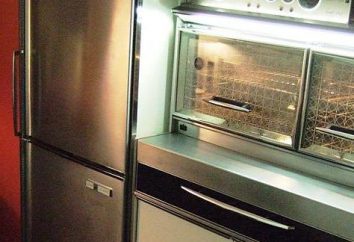 Le choix quoi acheter un bon réfrigérateur?
