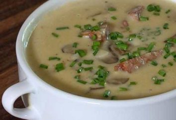 Como cozinhar a sopa com cogumelos e queijo derretido?