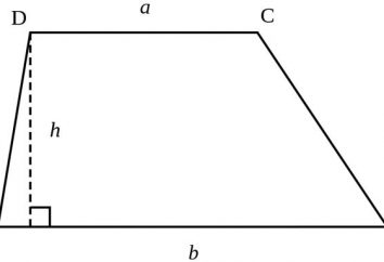 trapézoïdal équilatéral Diagonal. Quelle est la ligne médiane du trapézoïde. Types de trapèzes. Trapeze – il ..