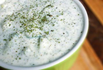 Sauce au yaourt: recettes de cuisine