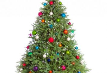 Dove sono finiti la tradizione di decorare l'albero di Natale: Leggende e fatti