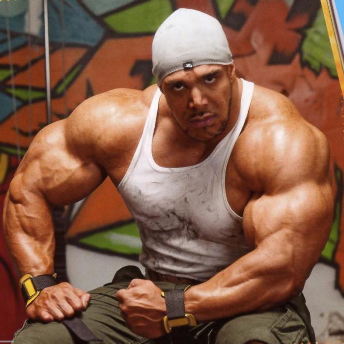 steroidi muscoli Come un professionista con l'aiuto di questi 5 suggerimenti