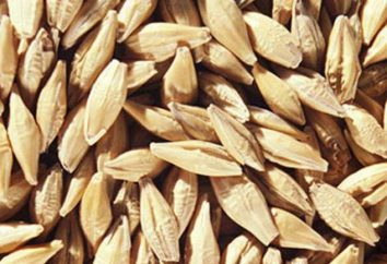 Was sind Körner von Weizen: Der Name und nützliche Eigenschaften