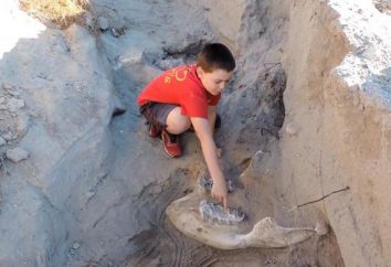 Schoolboy in New Mexico scoperto casualmente fossili di 1,2 milioni di anni