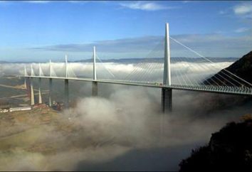 ponti unici. Il ponte più largo e più alto del mondo