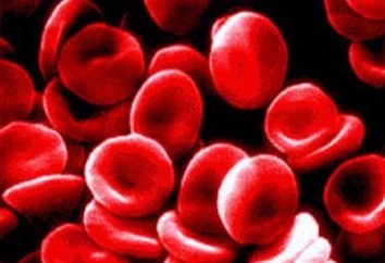 Średnia objętość krwinki spadły: Przyczyny