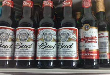 „Bad“ – Bier amerikanischen Traditionen, Geschichte und Merkmale