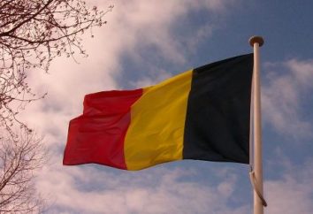 Bandiera del Belgio come simbolo di stato