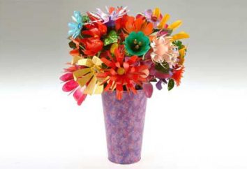 Come rendere fiori da bottiglie di plastica piacevole e semplice