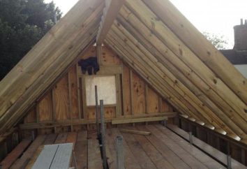 Installation de toit en tôle profilée sur la caisse en bois: l'enseignement, la technologie