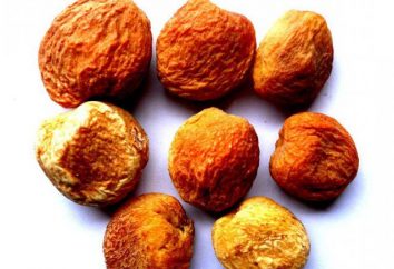 Abricots – quel est-il? Les propriétés bénéfiques et effets nocifs
