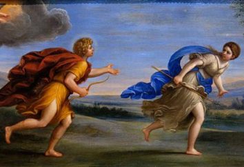 Apollo und Daphne: Mythos und ihre Reflexion in der Kunst