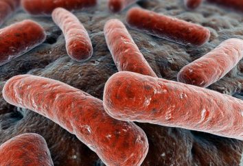 La tuberculosis de los órganos genitales: síntomas, diagnóstico, tratamiento