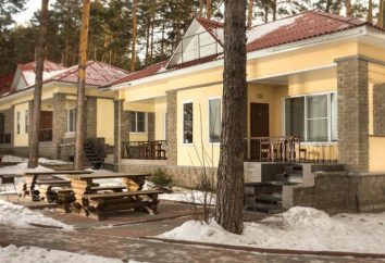 Villaggio turistico "Amicizia" a Krasnoyarsk