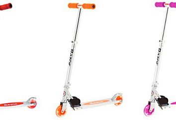 scooter à deux roues avec des roues incandescentes pour les enfants: la sélection par modèle d'âge