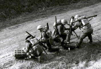 "Strana guerra" – questo … "guerra fasulla" del 1939-1940. sul fronte occidentale