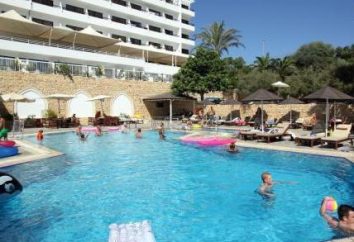 Horizon Beach Hotel & Stelios chambres familiales – Paradise en Crète