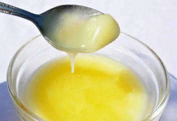 Ghee – manteiga. culinária ayurvédica