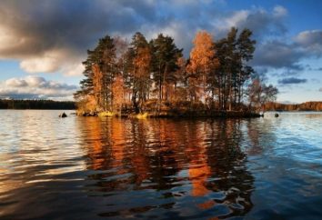 Lago cobre – uno de los destinos favoritos de vacaciones de San Petersburgo