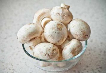 Funghi champignons: con che cosa cucinare, ricette e raccomandazioni deliziose