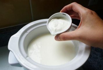 (lievito) istruzioni "narine" per l'uso di batteri lattici in casa