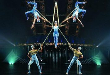 Sotchi histoire du cirque et les réalités contemporaines