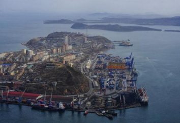 Libero porto di Vladivostok, che cosa fa? porto franco di Vladivostok: i pro ei contro