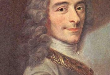 Voltaire, "ingênuo": resumo