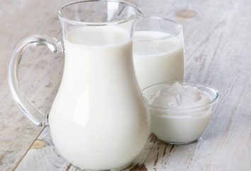 Bakterie kwasu mlekowego należą do grupy? Jakie są ich korzyści dla ludzkiego organizmu?