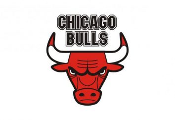 "Chicago Bulls": la storia, le tradizioni, la struttura