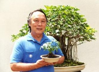 Bonsai – dom opieki dla drzew, maluchy