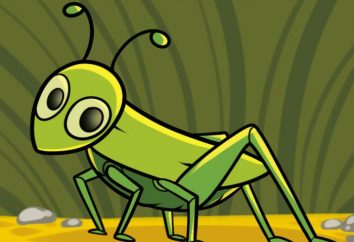 Cómo dibujar saltamontes – 2 Proceso de imagen insecto