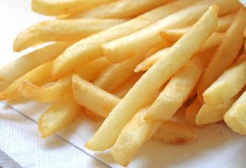 patatas fritas tierra natal – Bélgica