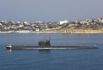 Submarine „Zaporoże” Naval Forces Ukrainy: opis, historia, perspektywy
