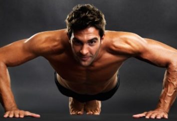 Flexões para os músculos peitorais: programa de exercícios