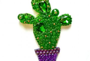 Kaktus Schema der Perlen und ein Blumenschema für sie