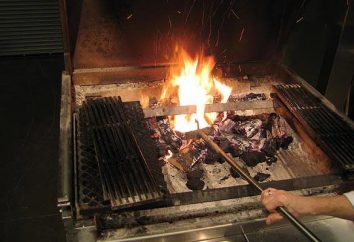 Rejilla – un elemento esencial del horno